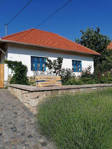 Csendülő Vendégház Noszvaj Esterno foto
